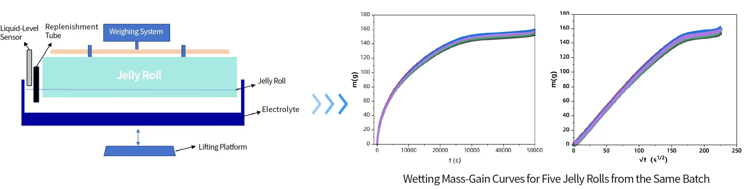 IEST Electrode Electrolyte Wetting Test System(EWS/ETS/CHT/GDT) 10 IEST GDT-2000 jelly roll electrolyte wettability gravimetric tester testing principle schematic and dynamic wetting mass-gain curves for five bare cells from the same batch.