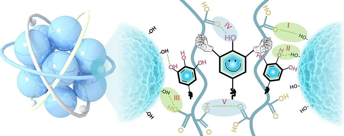 Figure 1. Three-dimensional flexible self-healing adhesive network of polyacrylic acid and tannic acid crosslinked by intermolecular hydrogen bonding