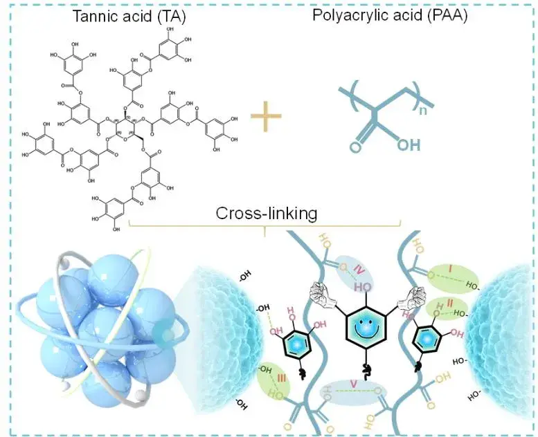 Figure 2. Synthesis process of crosslinked TA-c-PAA binder and mechanistic study.