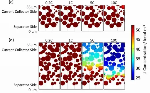 Figure 11. Distribution of lithium concentration in the solid phase of the particles at the end of discharge