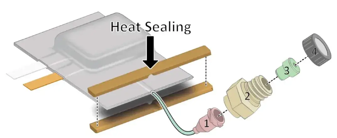 Schematic diagram of the gas extraction device