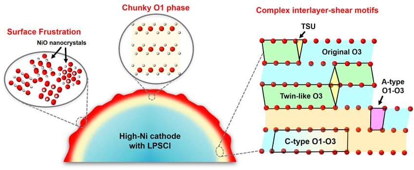 Electrochemically-triggered-atomic-scale-degradation-of-high-Ni-cathodes-in-ASSBs-The