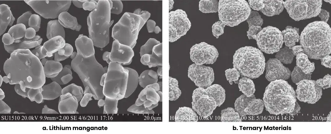 SEM Images of Lithium Cobalt Oxide and Ternary Materials