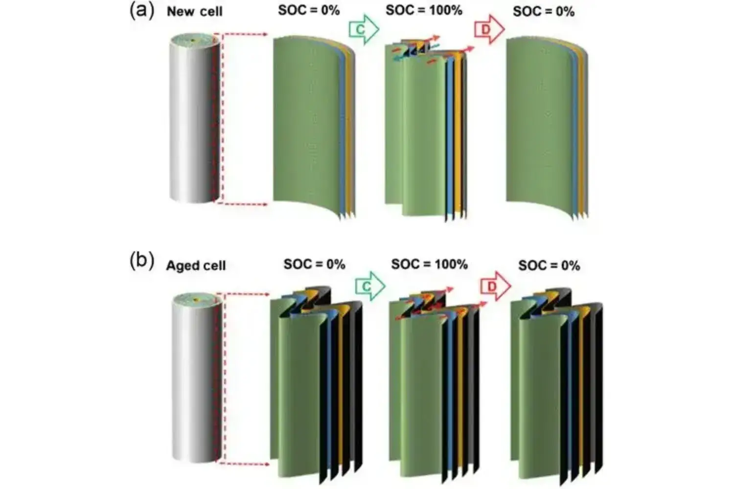 Analysis and Characterization of Expansion Force in Cylindrical Lithium Cells 1 Analysis and Characterization of Expansion Force in Cylindrical Lithium Cells