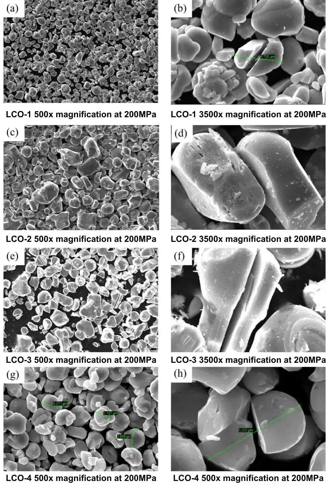 Figure 2. Overall and local SEM images of LiCoO2 powder