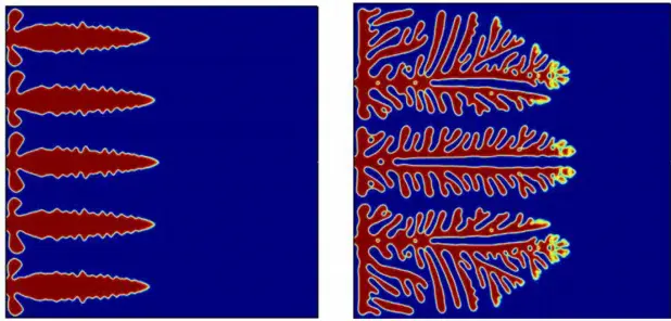 Figure 3. Lithium dendrite simulation results