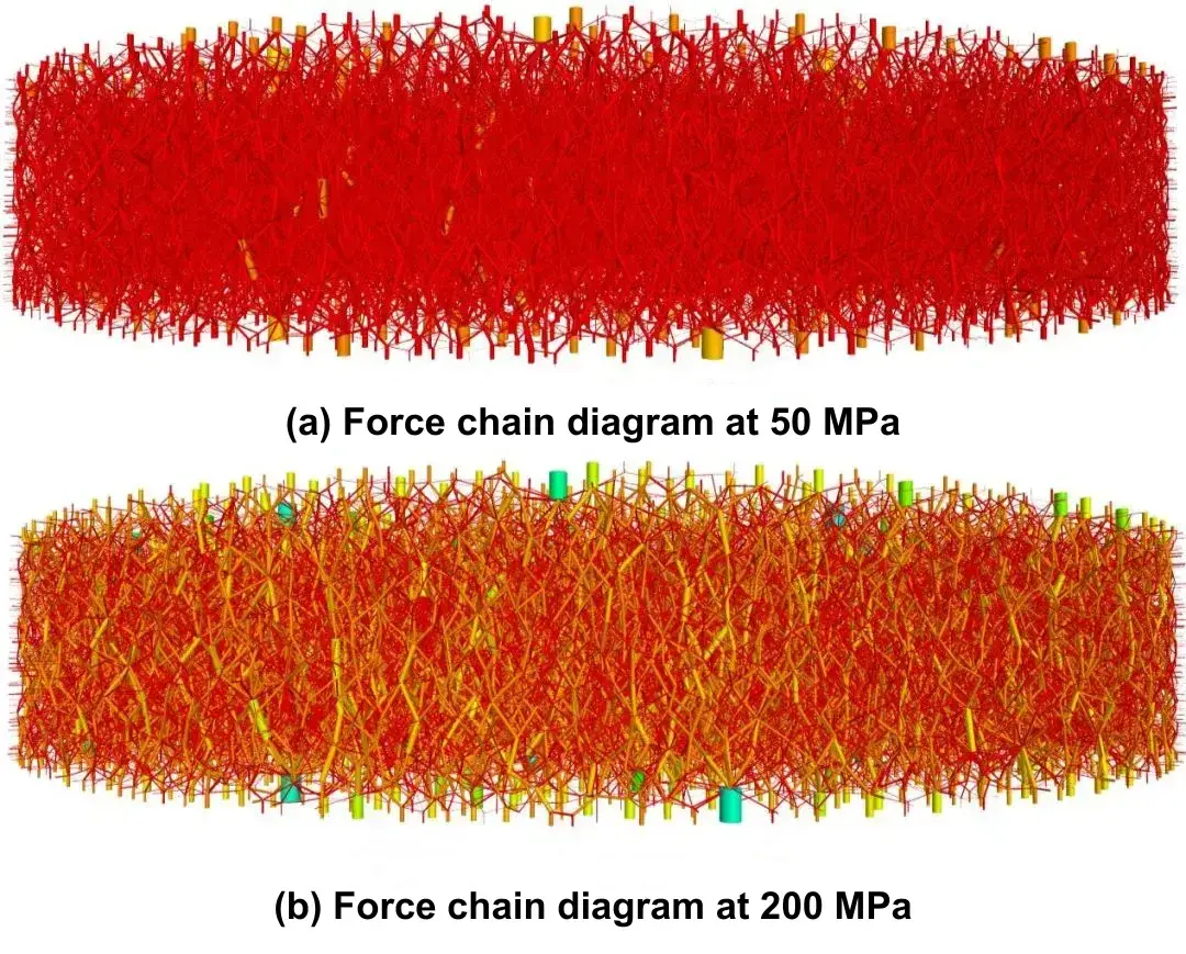 Figure 8. Force chain distribution of  LiCoO2 powders