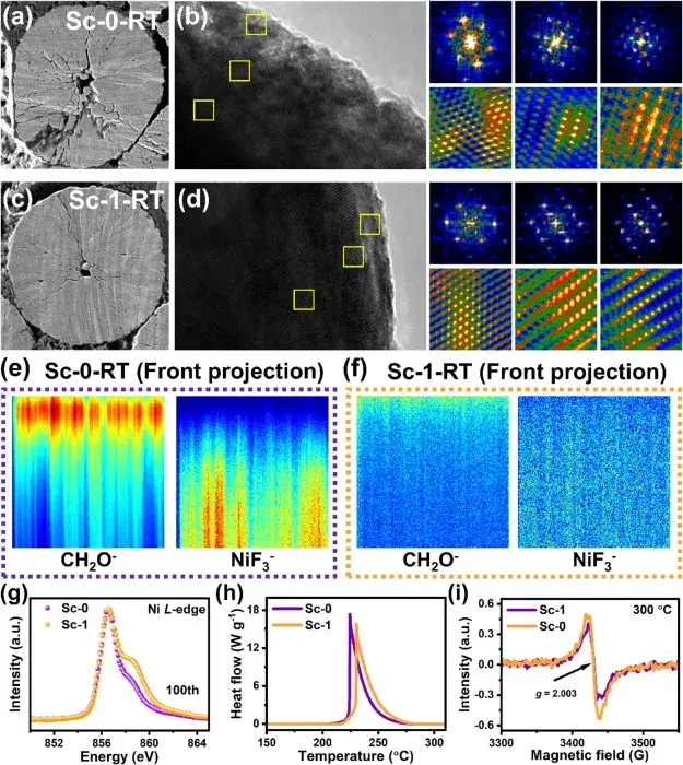 Figure 6. Profile SEM images, HRTEM and corresponding FFTiFFT images of Sc-0 and Sc-1 samples after 100 weeks of cycling