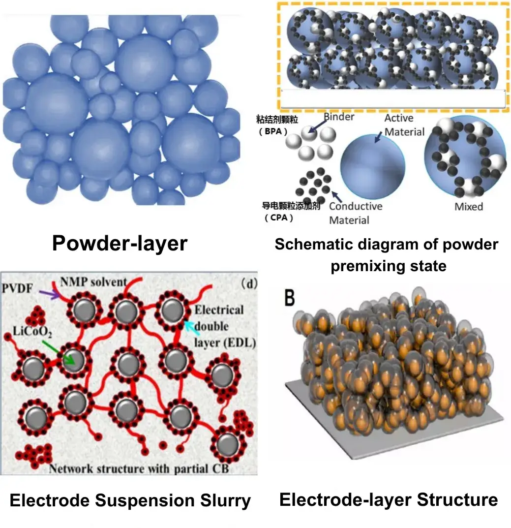 Figure 2. Microscopic morphology of particles at each level