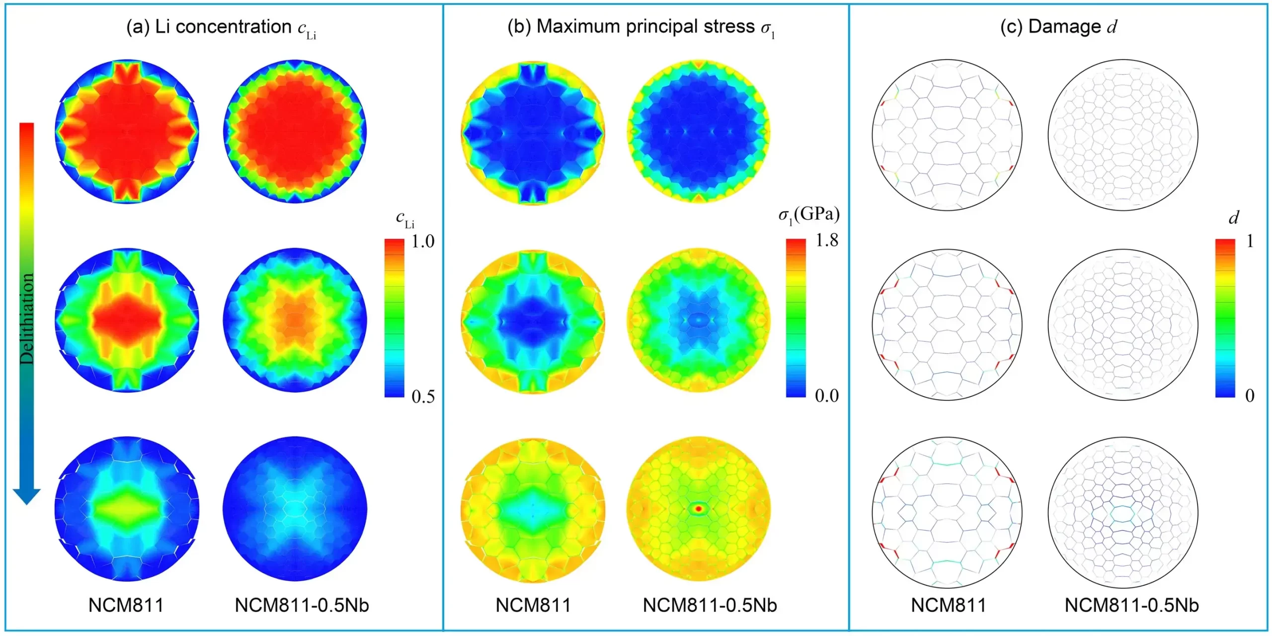 Figure 5. Finite‑element profiles of normalized Li concentration and resulting stress fields during delithiation.