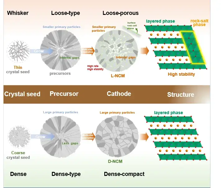 In situ Crystal Structure Growth and Control for Enhancing Cathodes Comprehensive Performance in Ultrahigh Nickel-Layered Lithium Cathodes 2 Figure 1. Schematic diagram comparing the macroscopic and microscopic structural changes during the in-situ growth of different cathodes.