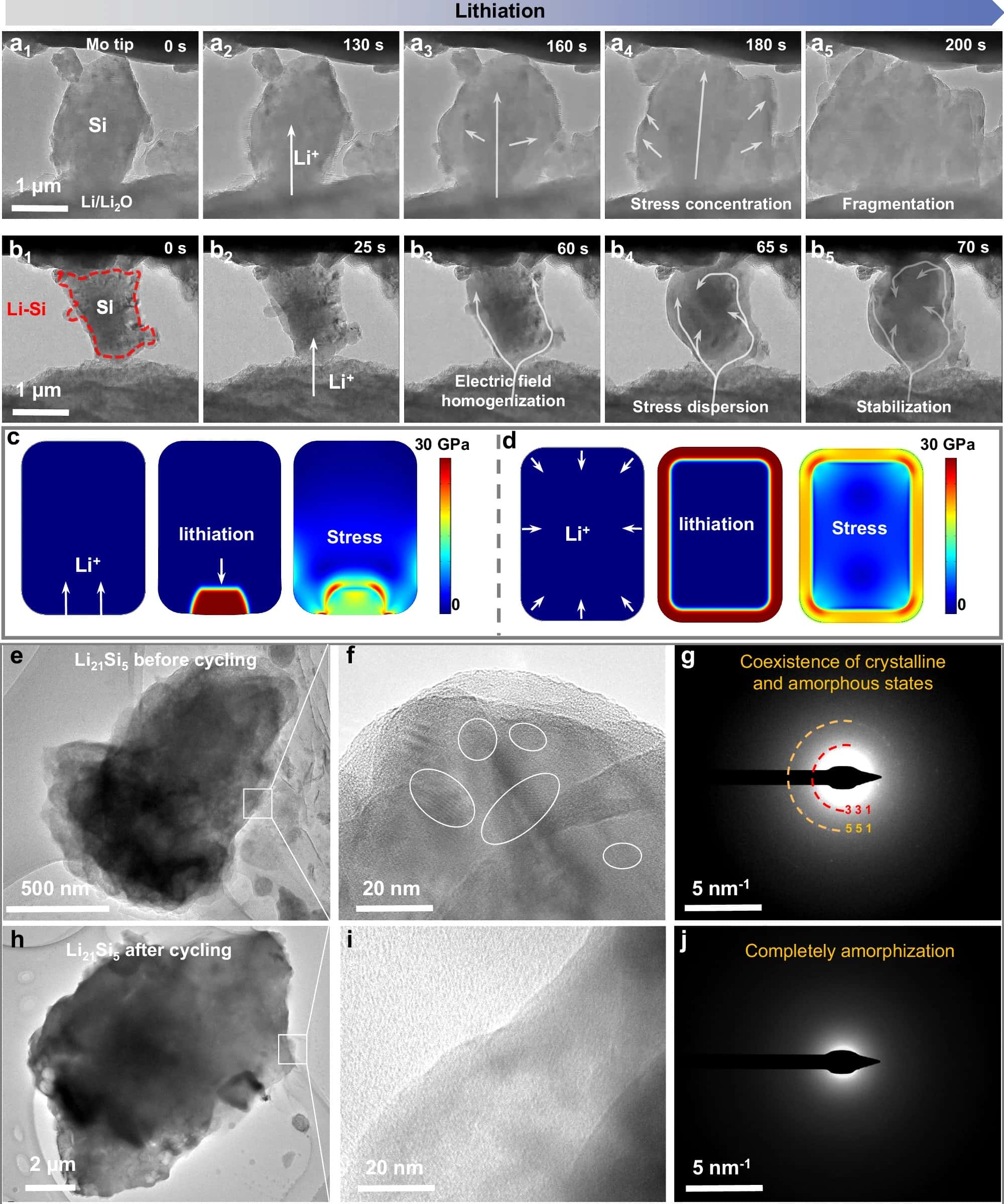 IEST SEMS Characterization Solutions Enable Groundbreaking Research: Pressure-Free Silicon-based Anode Achieves 1000 Stable Cycles in All-Solid-State Batteries 4 Figure 3. Structure evolution of the Li21Si5/Si–Li21Si5 anode during cycling.