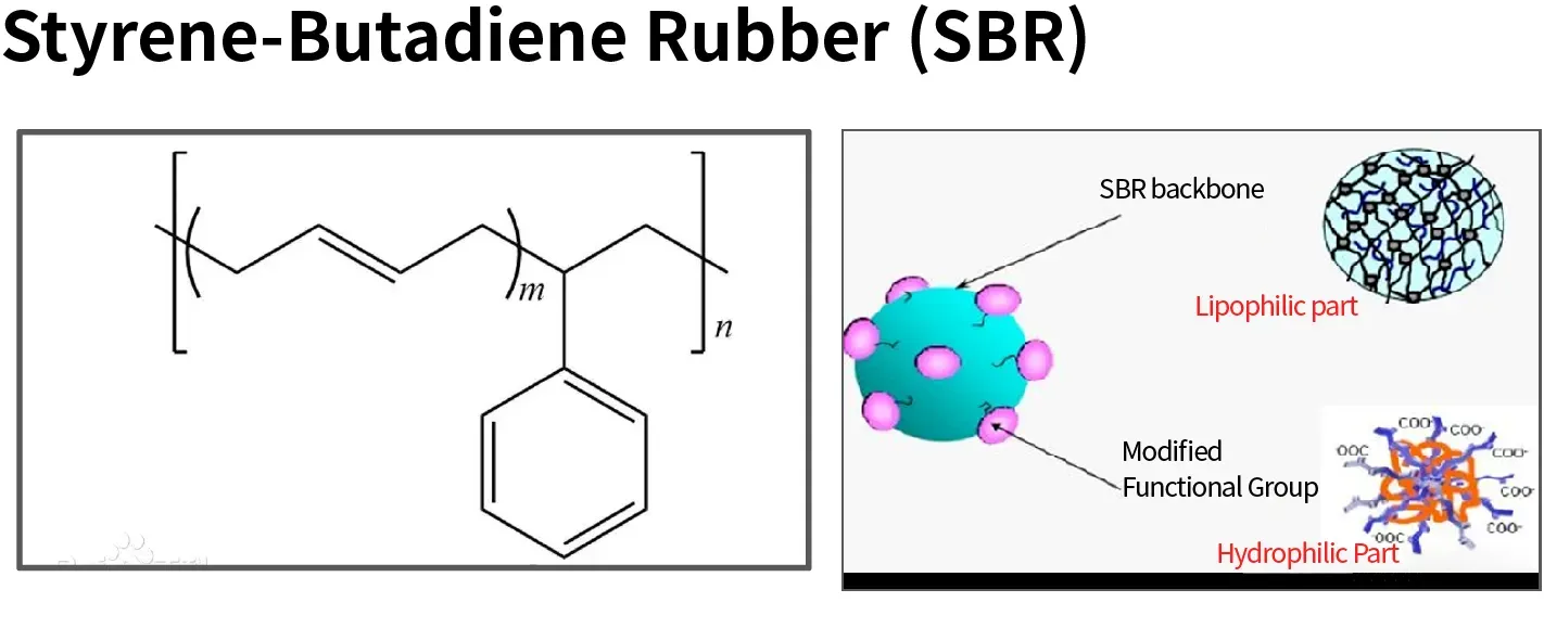 Quantifying Longitudinal Binder Distribution in Battery Electrodes: High-Precision Layer Profiling via Automated Electrode Powder Scraping System 8 The chemical formula of Styrene-Butadiene Rubber (SBR) polymer chain next to a core-shell model detailing the SBR backbone, modified hydrophilic functional groups, and lipophilic domains for binder stratification quality control.