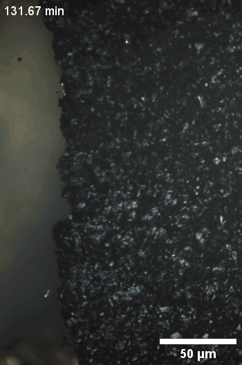 IEST SPECT1000 Powers JACS Breakthrough: NJU & CATL Jointly Unveil Graphite Anode Fast-Charging Bottlenecks, Reshaping the Understanding of Graphite Lithiation Kinetics. 2 Real-time optical electrochemical imaging of a single natural graphite particle undergoing multi-stage lithiation phase transitions.