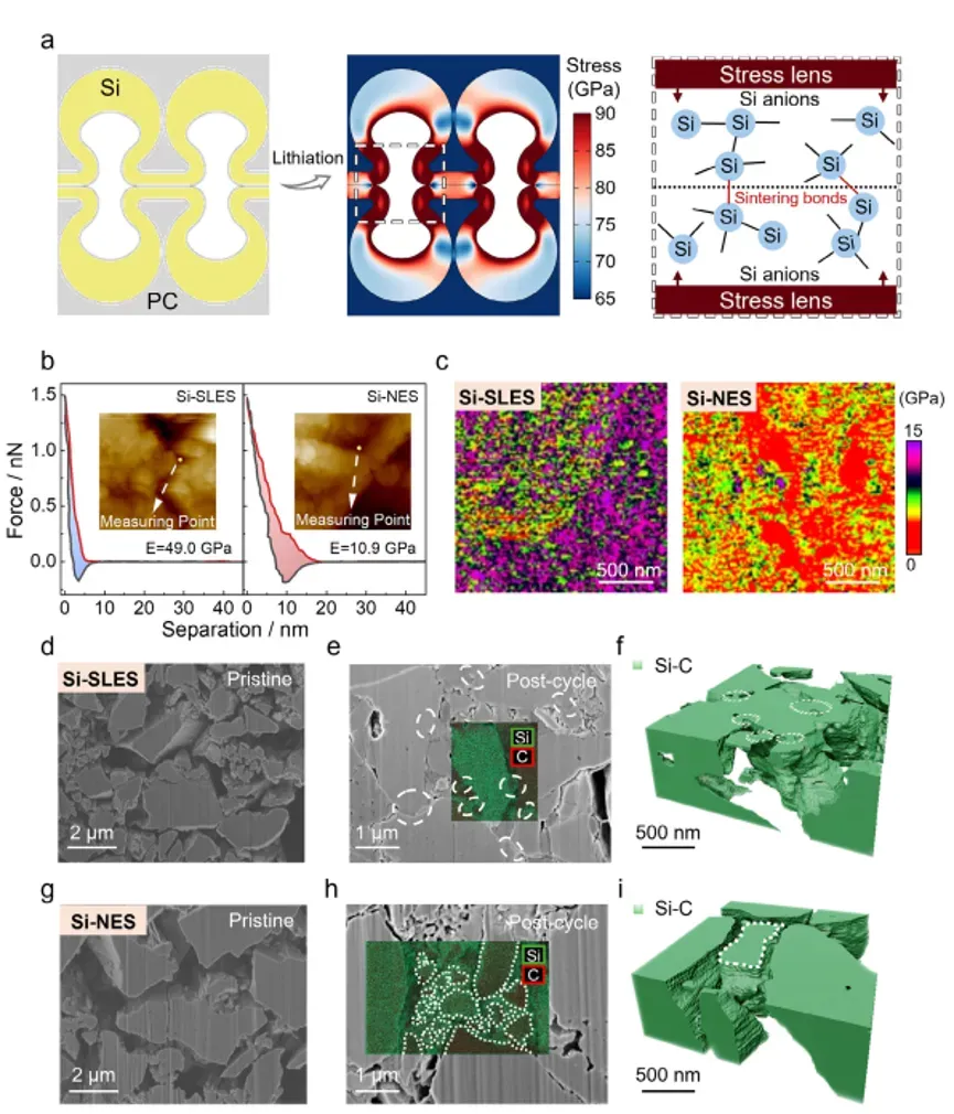 Advanced Materials: Electrochemical Sintering Enables Stress-Lensed Silicon Anodes for Long-Life All-Solid-State Batteries Validated by IEST SPFT2000 4 Stress-lens effect and selective electrochemical sintering mechanism. Stress-lens effect validation by finite element simulation showing stress concentration at pore openings, AFM force-distance curves and Young's modulus mapping, cross-sectional FESEM with EDS before/after cycling, and FIB-SEM 3D tomographic reconstruction of the percolating Si network.