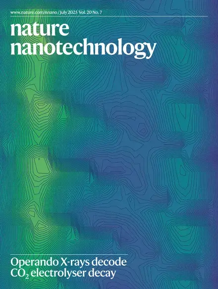 Nature Nanotechnology Cover