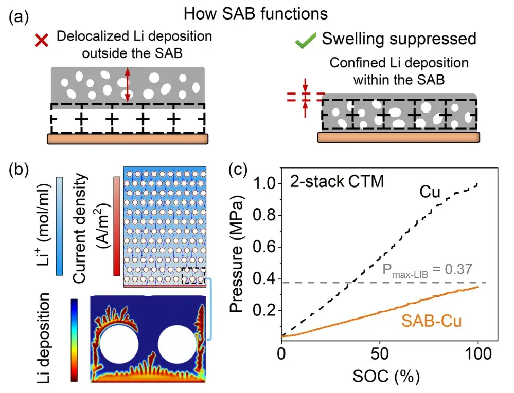 Advanced Materials: How to Achieve Both High Energy Density and Low Expansion in Anode‑Free Lithium Metal Batteries? SWE2110 and BER2500 Reveal the Stress‑Regulation Mechanism of SAB 3 Mechanism of the space-adaptive buffer (SAB) layer: finite-element simulation of Li+ concentration, current density, and lithium deposition confined within the SAB, and in-situ pressure data from a 2-stack constant-thickness-mode (CTM) cell showing SAB-Cu remaining below the LIB reference pressure of 0.37 MPa while bare Cu reaches roughly 1.0 MPa at 100% SOC.